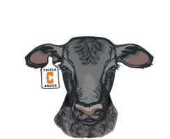 Triple C Angus